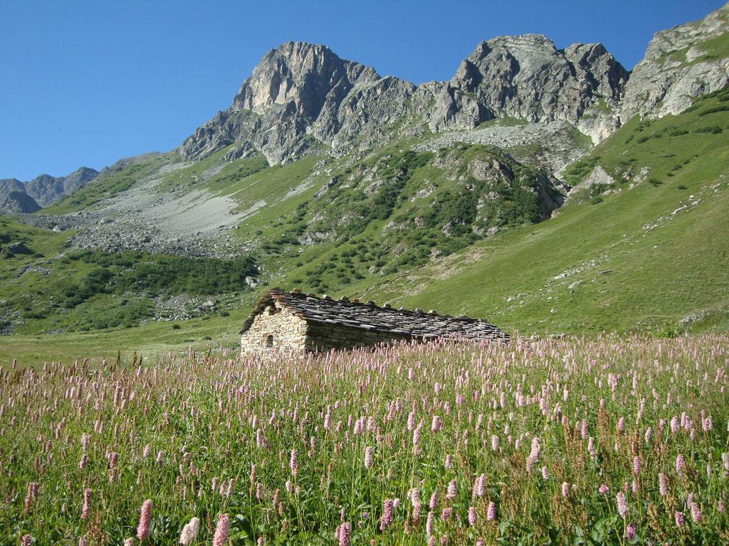 Bed and Breakfast Bed & Breakfast Barba Bertu Frassino Экстерьер фото