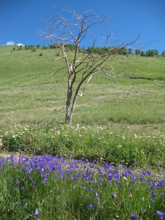 Bed and Breakfast Bed & Breakfast Barba Bertu Frassino Экстерьер фото