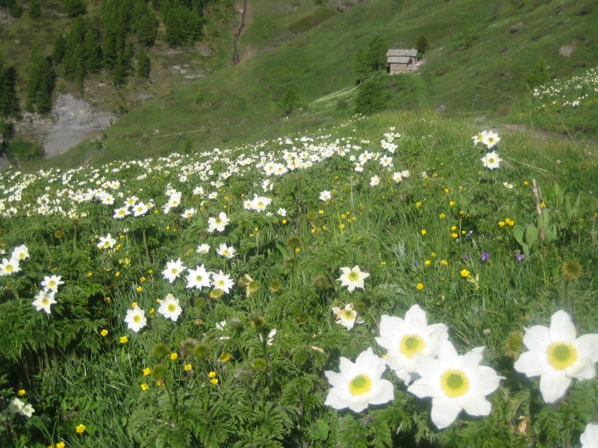 Bed and Breakfast Bed & Breakfast Barba Bertu Frassino Экстерьер фото